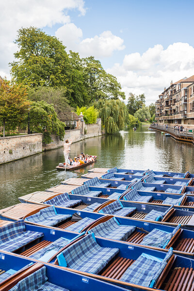 Punting by Quayside in Cambridge Picture Board by Jason Wells