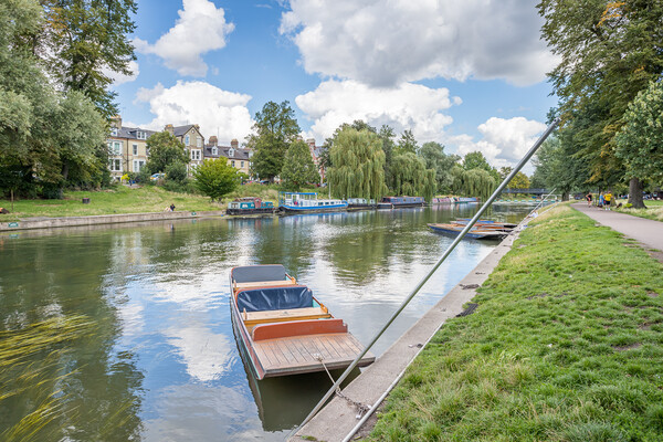 Punt tied on the River Cam Picture Board by Jason Wells