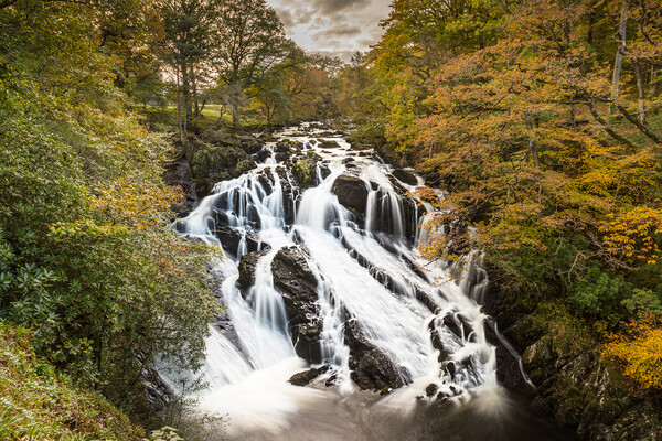 Swallow Falls at autumn Picture Board by Jason Wells