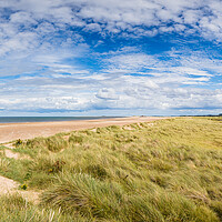 Buy canvas prints of Sand dunes line the beach at Titchwell by Jason Wells