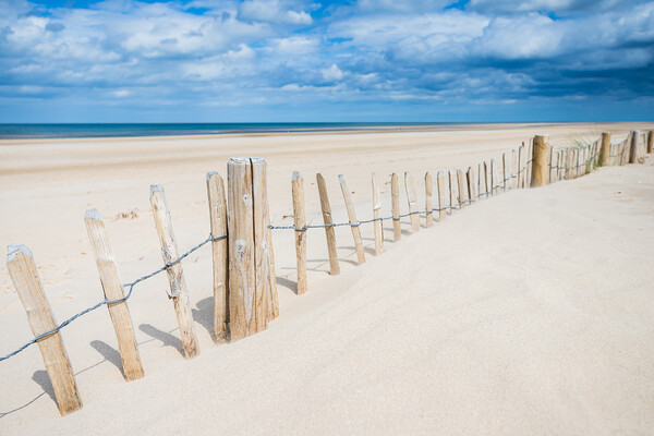 Fence along Holkham beach Picture Board by Jason Wells