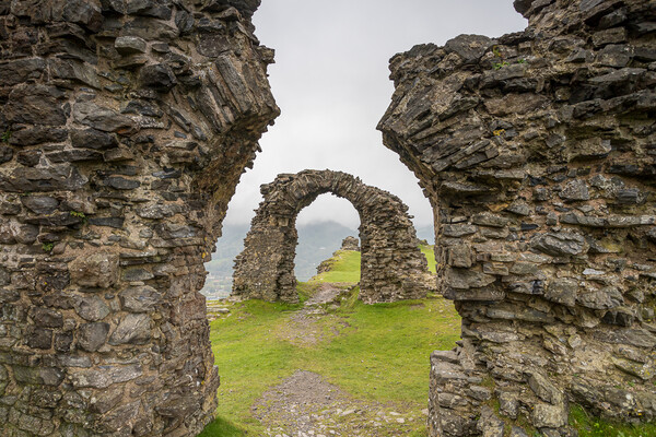 Ruins of Castell Dinas Bran Picture Board by Jason Wells
