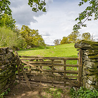 Buy canvas prints of Traditional wooden gate between stone walls in the Lake District by Jason Wells
