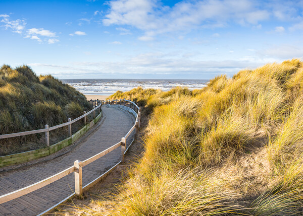 Board walk to Formby beach Picture Board by Jason Wells