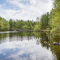 Buy canvas prints of Reflections on High Dam Tarn by Jason Wells