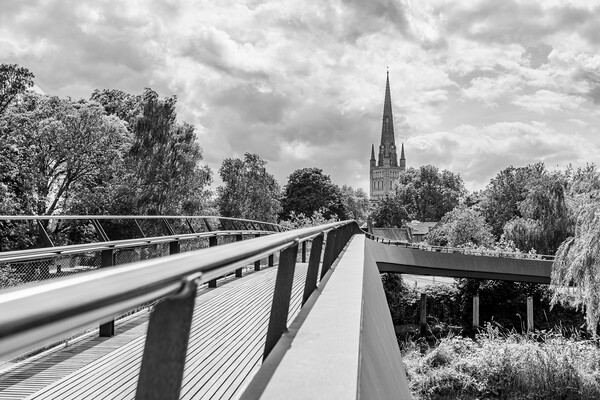 Jarrold Bridge leads to Norwich Cathedral Picture Board by Jason Wells
