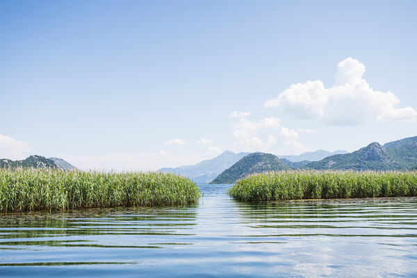 Opening to Lake Skadar Picture Board by Jason Wells
