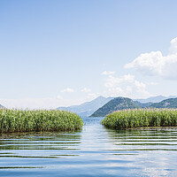Buy canvas prints of Opening to Lake Skadar by Jason Wells
