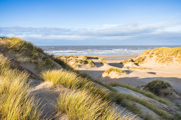 Rolling sand dunes on Formby beach Picture Board by Jason Wells