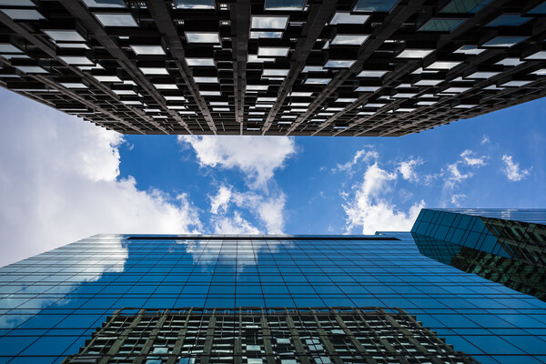 Looking skyward in London Picture Board by Jason Wells