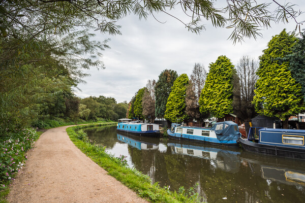 Narrow boats next to Crooke Marina Picture Board by Jason Wells