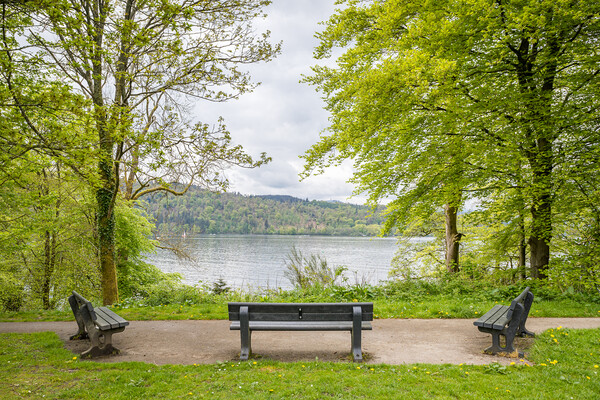 Tranquil Lake Windermere view Picture Board by Jason Wells