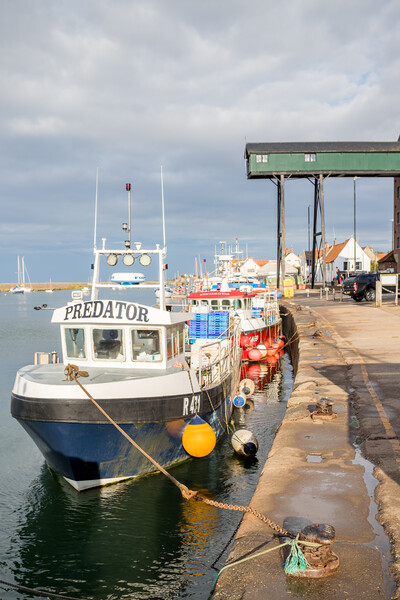 Fishing boats moored in Wells harbour Picture Board by Jason Wells