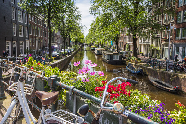 Pretty Bloemgracht canal Picture Board by Jason Wells