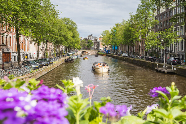 Herengracht Canal Amsterdam cityscape Picture Board by Jason Wells