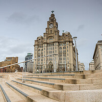 Steps lead towards the Royal Liver Building