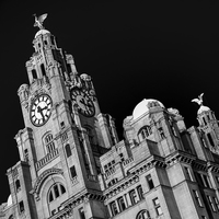 Buy canvas prints of Royal Liver Building monochrome by Jason Wells