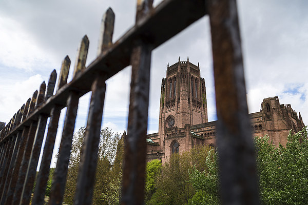 Anglican cathedral behind railings Framed Print by Jason Wells