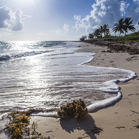 Buy canvas prints of  Waves lap the Cuban shore by Jason Wells