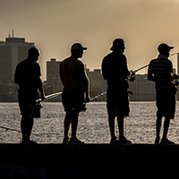 Buy canvas prints of  Men fishing in Havana by Jason Wells