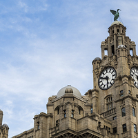 Buy canvas prints of Top of the Royal Liver Building by Jason Wells