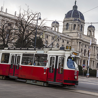 Buy canvas prints of  Old tram on the Ringstrasse line in the heart of  by Jason Wells