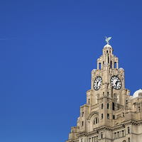 Buy canvas prints of Royal Liver Building against a blue sky by Jason Wells