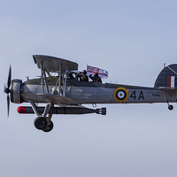 Buy canvas prints of Royal Navy Swordfish by Jason Wells