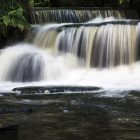 Buy canvas prints of Solitary leaf by the waterfall by Jason Wells