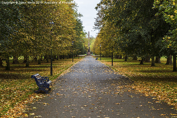 Autumn in Sefton Park Picture Board by Jason Wells