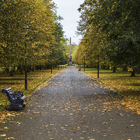 Buy canvas prints of Autumn in Sefton Park by Jason Wells