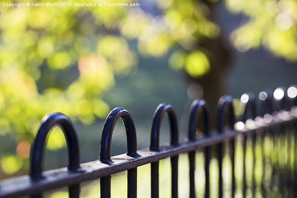 Railings at Sefton Park Picture Board by Jason Wells
