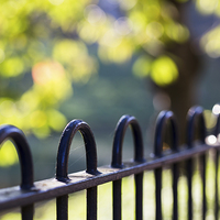 Buy canvas prints of Railings at Sefton Park by Jason Wells