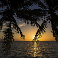 Buy canvas prints of Sunrise on the coast of Cayo Guillermo by Jason Wells