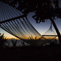 Buy canvas prints of Silhouette of a hammock by Jason Wells