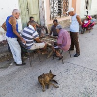 Buy canvas prints of Cuban men playing dominos by Jason Wells
