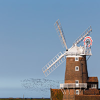 Buy canvas prints of Flock of birds take to the skies behind Cley windm by Jason Wells