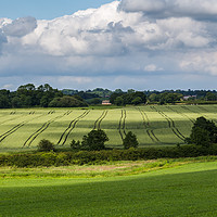 Buy canvas prints of Cloudscape over the Cheshire fields by Jason Wells