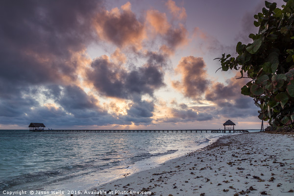 Dawn on the beach of Cayo Guillermo Picture Board by Jason Wells