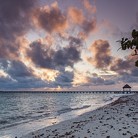 Buy canvas prints of Dawn on the beach of Cayo Guillermo by Jason Wells