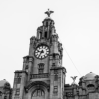 Buy canvas prints of Liverbirds above Liverpool by Jason Wells