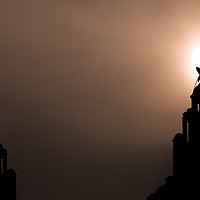 Buy canvas prints of Silhouette of a Liver bird by Jason Wells