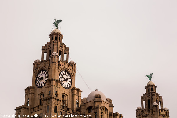 Minimalistic Liver birds Picture Board by Jason Wells
