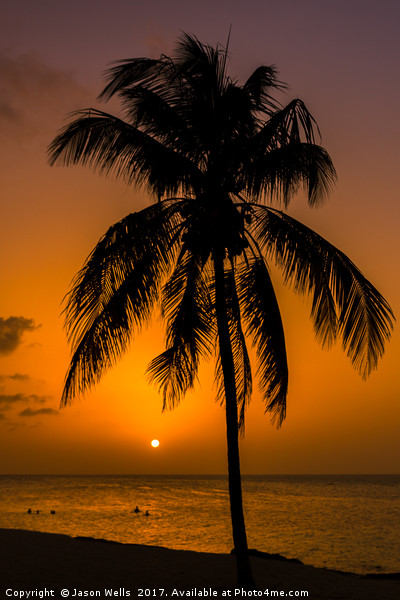 Caribbean sunset Picture Board by Jason Wells