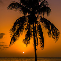 Buy canvas prints of Caribbean sunset by Jason Wells