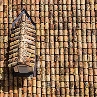 Buy canvas prints of Waves of terracotta  tiles by Jason Wells