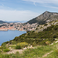 Buy canvas prints of View of Dubrovnik from Park Orsula by Jason Wells