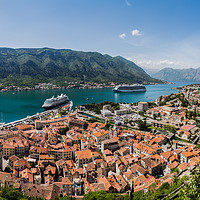 Buy canvas prints of Triangular shaped old town of Kotor by Jason Wells