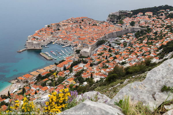 Looking down on Dubrovnik Picture Board by Jason Wells