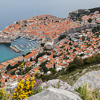 Buy canvas prints of Looking down on Dubrovnik by Jason Wells